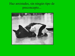 Haz amistades, sin ningún tipo de preconcepto...