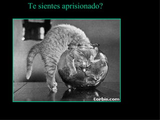 Te sientes aprisionado?