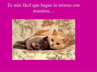 Es más fácil que hagan lo mismo con nosotros....