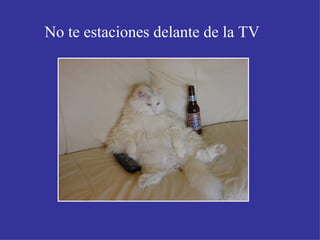No te estaciones delante de la TV