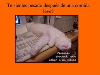 Te sientes pesado después de una comida leve?