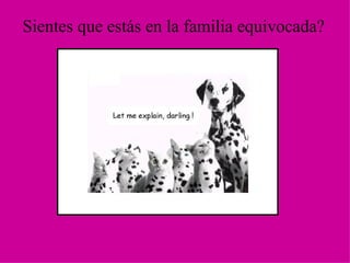 Sientes que estás en la familia equivocada?