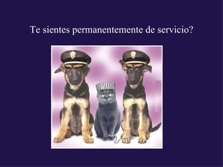 Te sientes permanentemente de servicio?