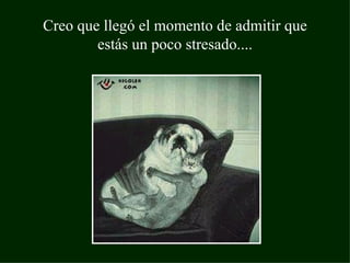 Creo que llegó el momento de admitir que estás un poco stresado....