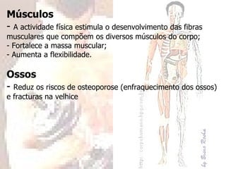 Músculos -  A actividade física estimula o desenvolvimento das fibras musculares que compõem os diversos músculos do corpo; - Fortalece a massa muscular; - Aumenta a flexibilidade. Ossos -  Reduz os riscos de osteoporose (enfraquecimento dos ossos) e fracturas na velhice 