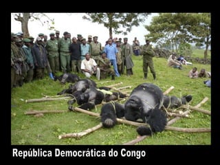 República Democrática do Congo