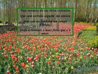 Vejo retratos de tão belos coloridos, Que com carinho alguém  me enviou Mas que me lembram um campo florido, Onde a saudade é mais forte que o o amor. 