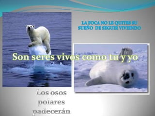 LA FOCA NO LE QUITES SU SUEÑO  DE SEGUIR VIVIENDO Son seres vivos como tu y yo  Los osos polares padecerán 