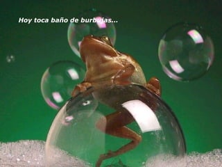 Hoy toca baño de burbujas...  