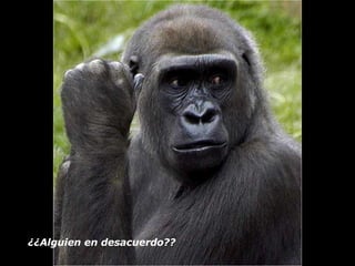 ¿¿Alguien en desacuerdo??   