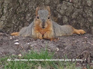 Ay... ¿no estoy demasiado despatarrada para la foto...?   