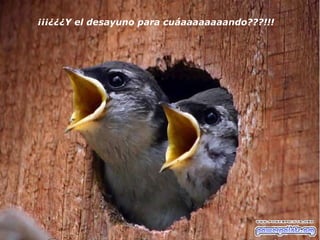 ¡¡¡¿¿¿Y el desayuno para cuáaaaaaaaando???!!!   