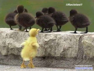 ¡¡Racistas!! 