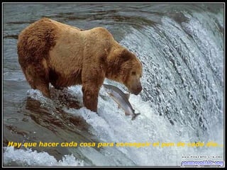 Hay que hacer cada cosa para conseguir el pan de cada día...   