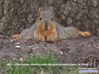 Ay... ¿no estoy demasiado despatarrada para la foto...?   