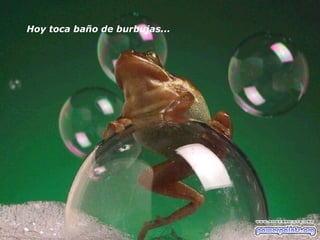 Hoy toca baño de burbujas...  