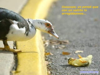 Uuuuups, yo pensé que  con un saltito lo  arreglábamos... 