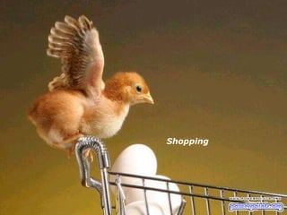 Shopping 
