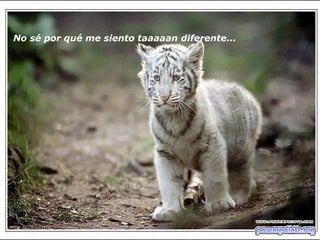 No sé por qué me siento taaaaan diferente...   