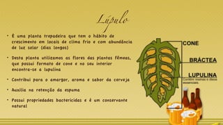 Lúpulo
É uma planta trepadeira que tem o hábito de
crescimento em locais de clima frio e com abundância
de luz solar (dias longos)
Desta planta utilizamos as flores das plantas fêmeas,
que possui formato de cone e no seu interior
encontra-se a lupulina
Contribui para o amargor, aroma e sabor da cerveja
Auxilia na retenção da espuma
Possui propriedades bactericidas e é um conservante
natural
 