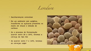 Levedura
Saccharomyces cerevisiae
Em um ambiente sem oxigênio,
transforma os açúcares presentes no
mosto em etanol e dióxido de
carbono
Se o processo de fermentação
ocorrer entre 20 e 25ºC, teremos a
cerveja do tipo Ale
Se ocorrer entre 7 e 12ºC, teremos
as cervejas Lager
 