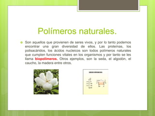 Polímeros naturales.
 Son aquellos que provienen de seres vivos, y por lo tanto podemos
encontrar una gran diversidad de ellos. Las proteínas, los
polisacáridos, los ácidos nucleicos son todos polímeros naturales
que cumplen funciones vitales en los organismos y por tanto se les
llama biopolímeros. Otros ejemplos, son la seda, el algodón, el
caucho, la madera entre otros.
 