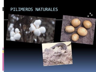 PILIMEROS NATURALES
.
 
