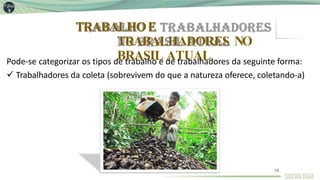 TRABALHOE
TRABALHADORES NO
BRASIL ATUAL
Pode-se categorizar os tipos de trabalho e de trabalhadores da seguinte forma:
 Trabalhadores da coleta (sobrevivem do que a natureza oferece, coletando-a)
19
 