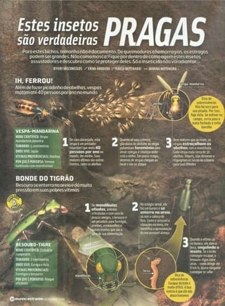 Revista Mundo Estranho