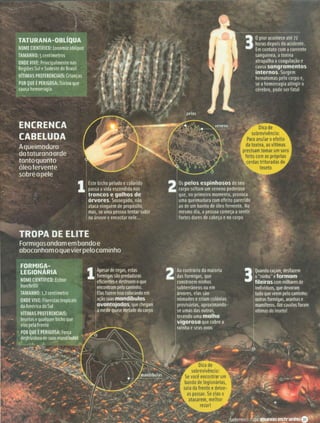 Revista Mundo Estranho