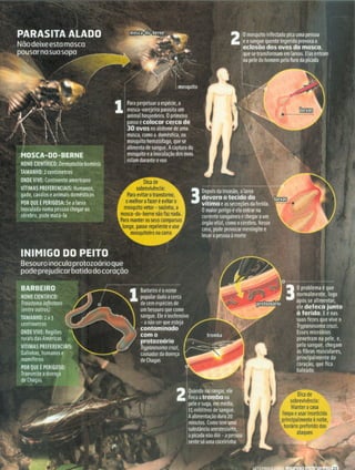 Revista Mundo Estranho