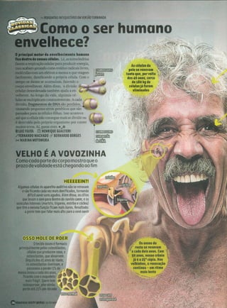 Revista Mundo Estranho