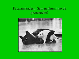 Faça amizades... Sem nenhum tipo de preconceito! 
