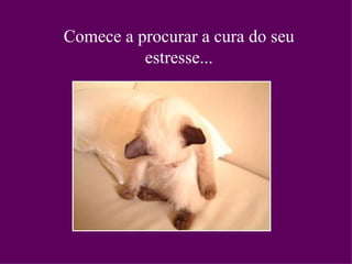 Comece a procurar a cura do seu estresse... 