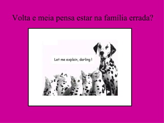 Volta e meia pensa estar na família errada? 