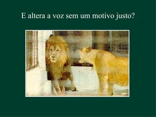 E altera a voz sem um motivo justo? 