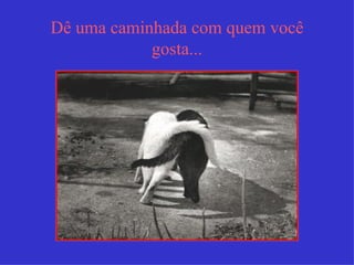 Dê uma caminhada com quem você
            gosta...
 