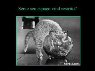 Sente seu espaço vital restrito?
 