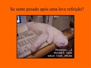 Se sente pesado após uma leve refeição?
 