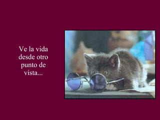 Ve la vida desde otro punto de vista... 