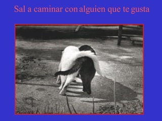 Sal a caminar con alguien que te gusta 
