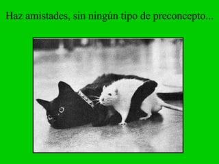 Haz amistades, sin ningún tipo de preconcepto... 