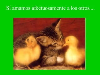 Si amamos afectuosamente a los otros.... 
