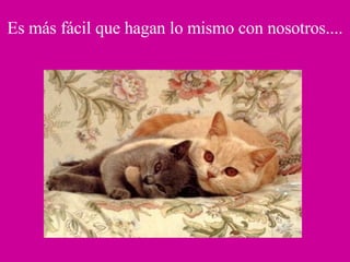 Es más fácil que hagan lo mismo con nosotros.... 