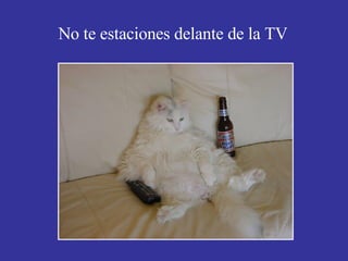 No te estaciones delante de la TV 