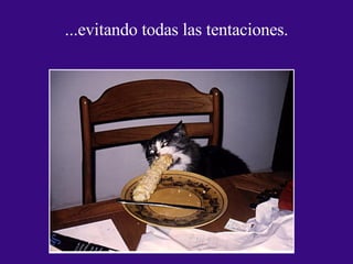 ...evitando todas las tentaciones. 