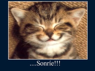 ....Sonríe!!! 