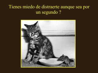 Tienes miedo de distraerte aunque sea por un segundo ?   