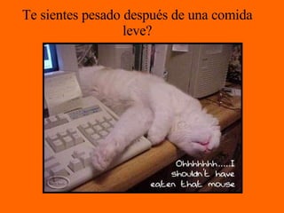 Te sientes pesado después de una comida leve? 