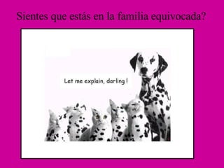 Sientes que estás en la familia equivocada? 